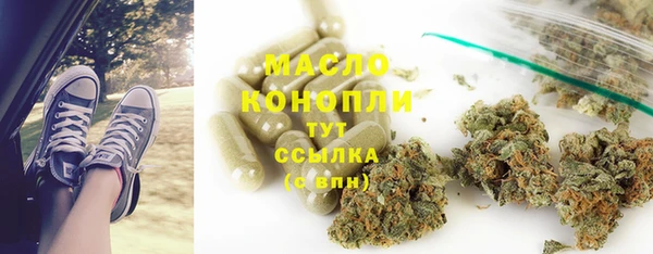 молекула духа Надым