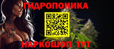 спиды Кимры