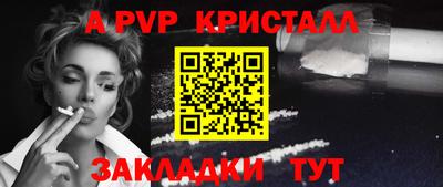 мет Кингисепп