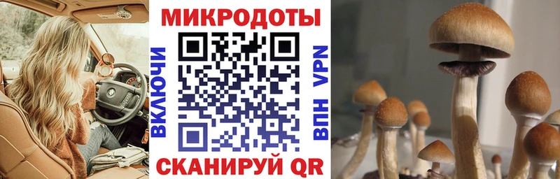 Псилоцибиновые грибы ЛСД кракен рабочий сайт Миллерово
